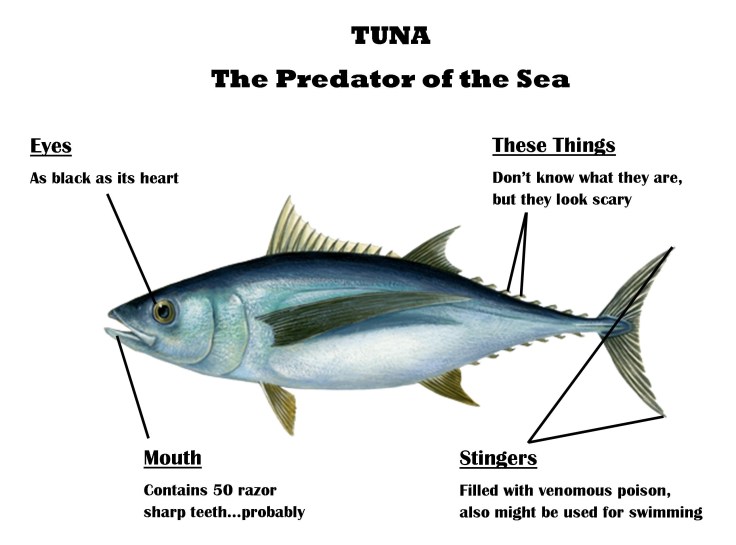 TUNA BODY PARTS.jpg